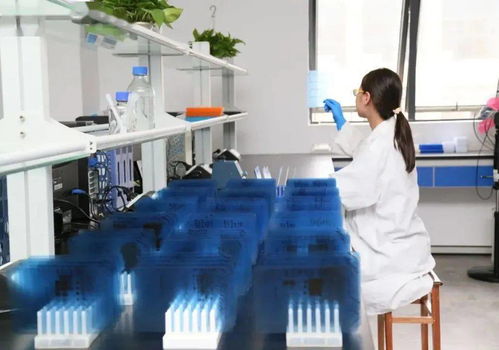 汪祥旺劉潔調(diào)研光谷準(zhǔn)上市企業(yè) 厚植沃土助企業(yè)爭(zhēng)創(chuàng)世界一流