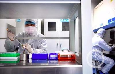 黑科技助攻戰(zhàn)“疫” 重慶高新區(qū)“智造”軍團(tuán)以生物研發(fā)構(gòu)筑科技防線