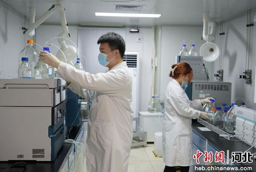 廊坊市積極引進(jìn)京津創(chuàng)新資源，賦能生物醫(yī)藥研發(fā)產(chǎn)業(yè)高質(zhì)量發(fā)展