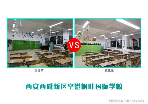 探索未來(lái)教育新模式 西安西咸新區(qū)空港楓葉國(guó)際學(xué)校的生物研發(fā)樣板間